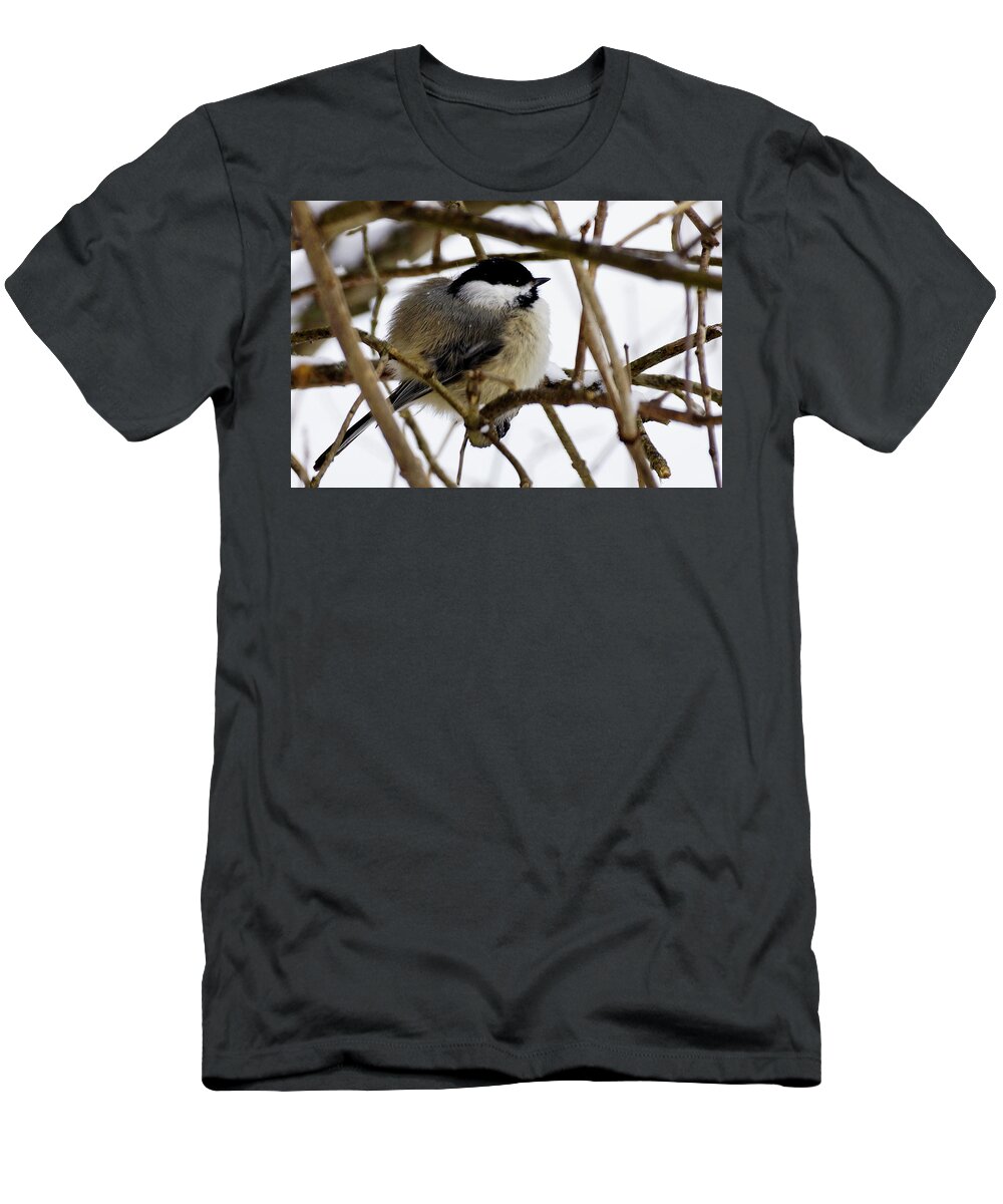 Bird T-Shirt featuring the photograph Puffed up by Rockybranch Dreams