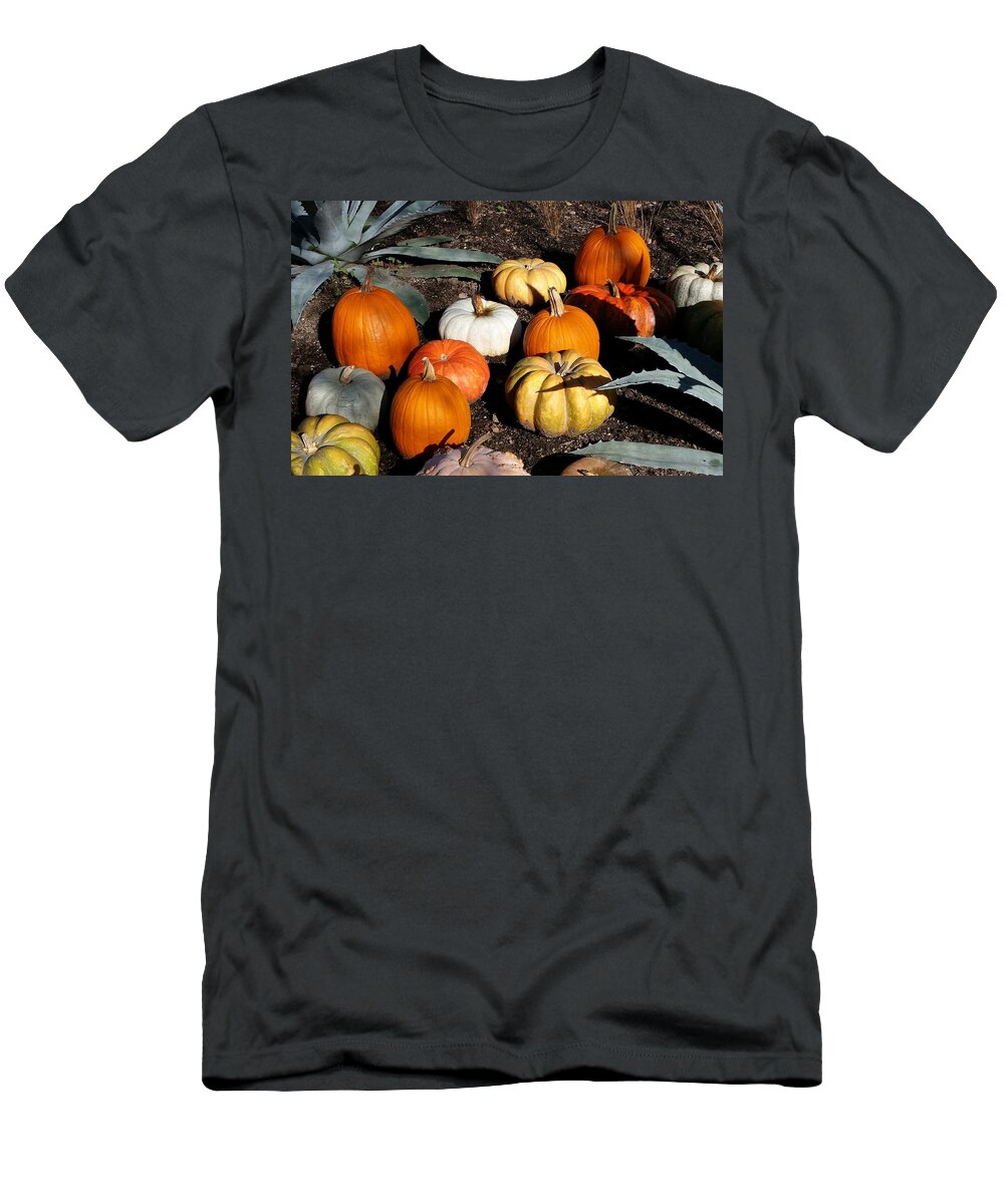 Pumpkins T-Shirt featuring the photograph Pumpkins by Ally White