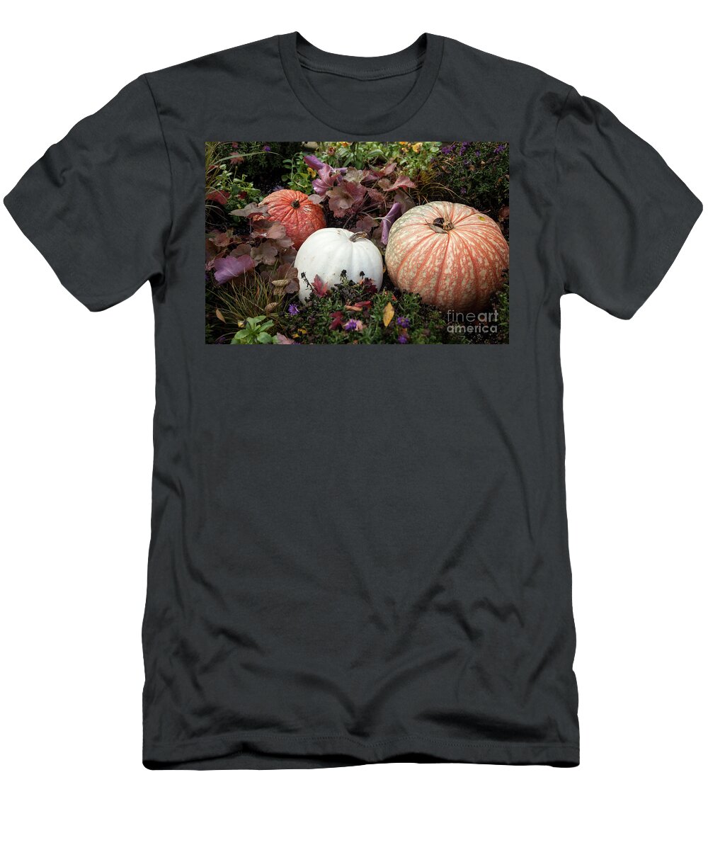 Fall T-Shirt featuring the photograph Pumpkins by Timothy Johnson
