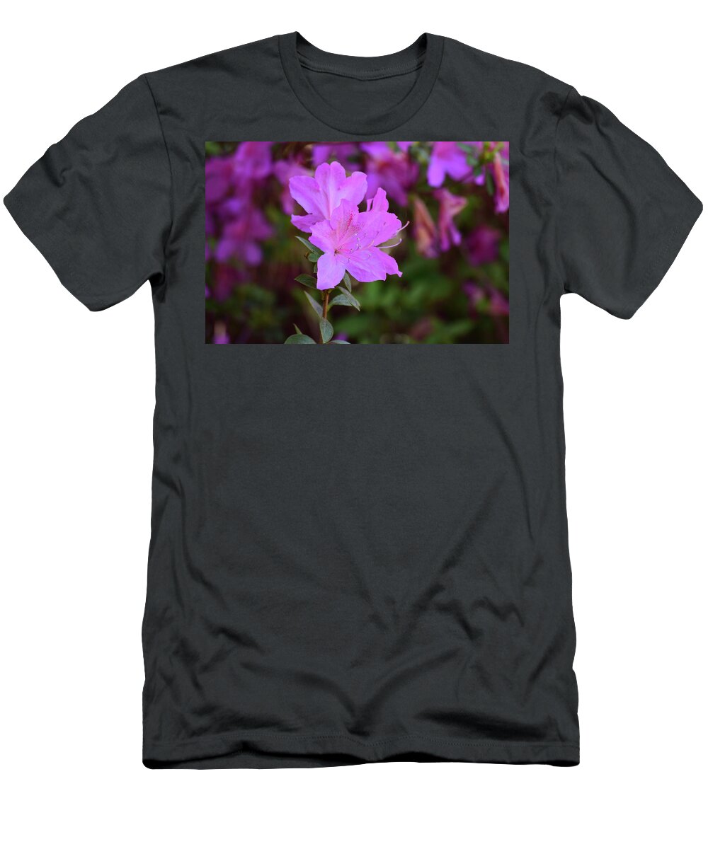 Flowers T-Shirt featuring the photograph Purple Azaleas in Bloom by Nicole Lloyd