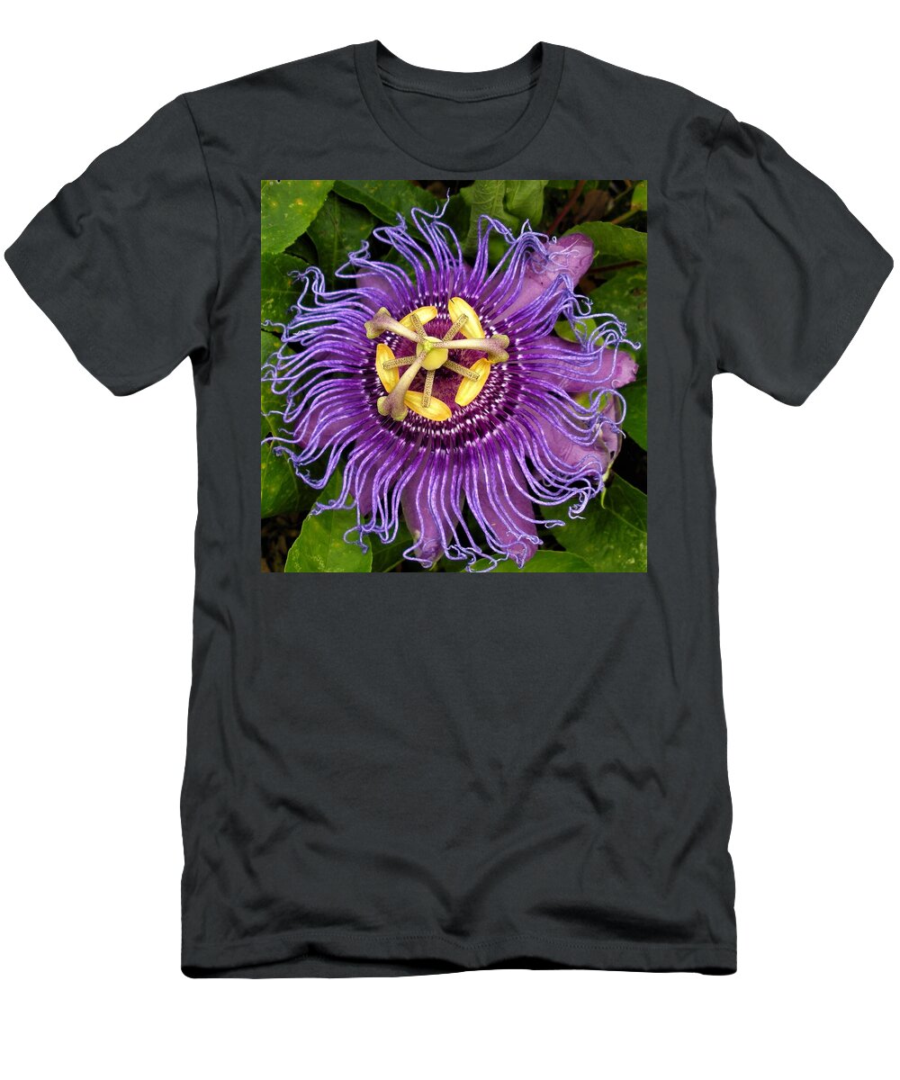 Passion T-Shirt featuring the photograph Purple Passion by Margaret Zabor