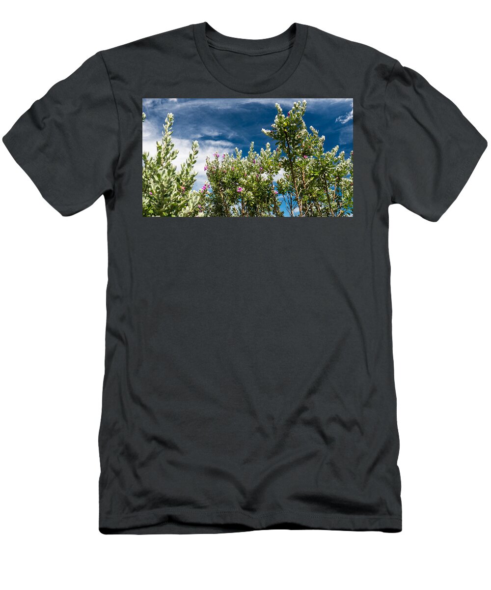 Purple Sage T-Shirt featuring the photograph Purple Sage and Sky by Ivars Vilums