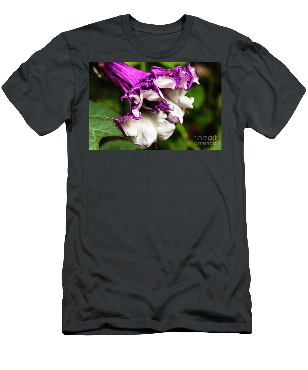 Brugmansia T-Shirt featuring the photograph Purple Trumpet Flower by Raul Rodriguez