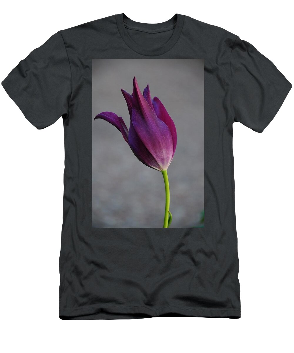  T-Shirt featuring the photograph Purple Tulip by Susie Rieple
