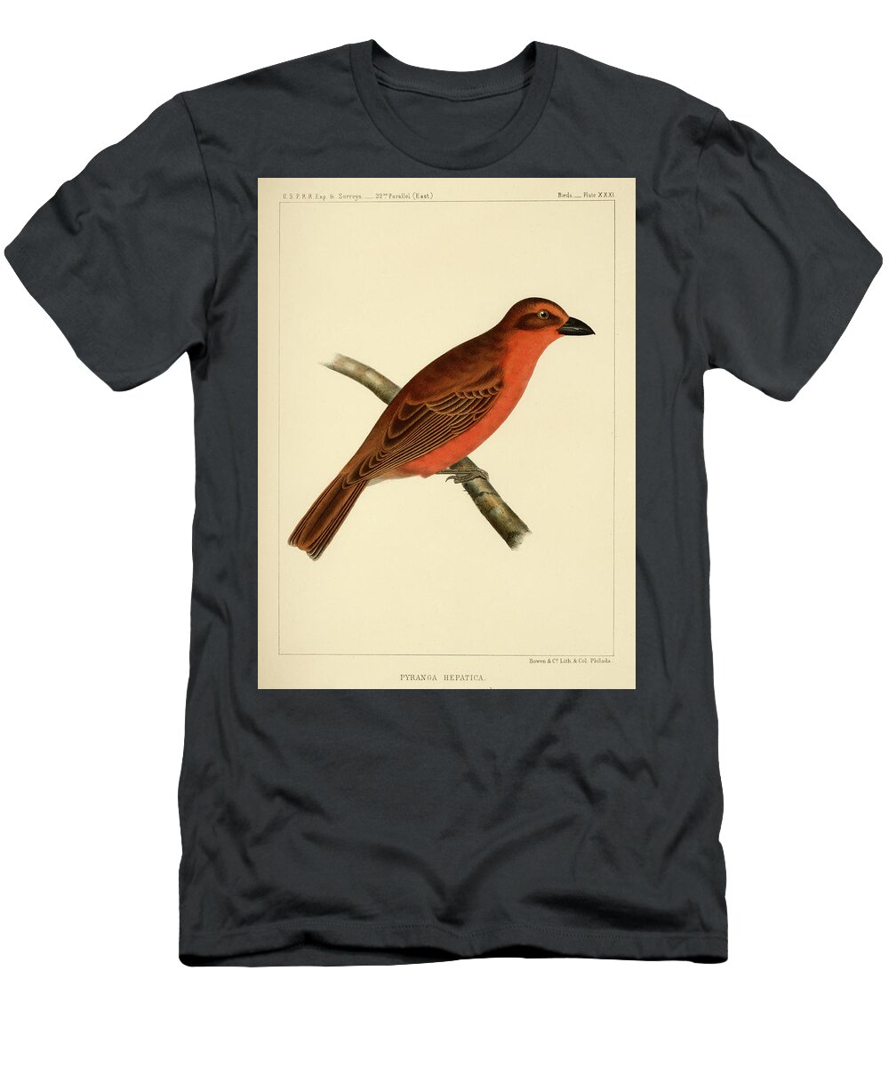 Birds T-Shirt featuring the mixed media Pyranga Hepatica by Bowen and Co lith and col Phila