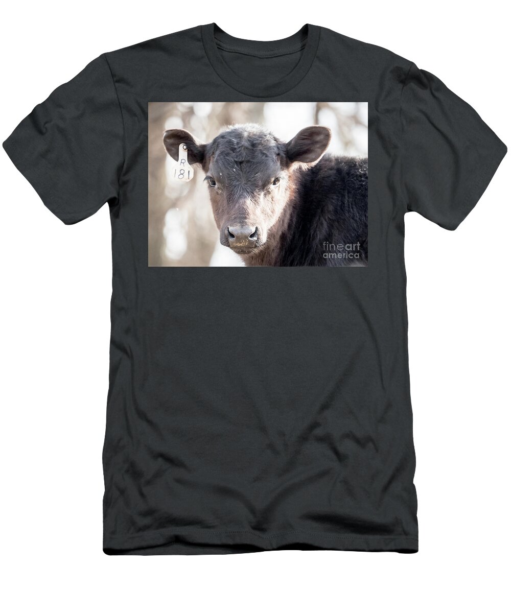 Cow T-Shirt featuring the drawing R181 Cow by Scott and Dixie Wiley