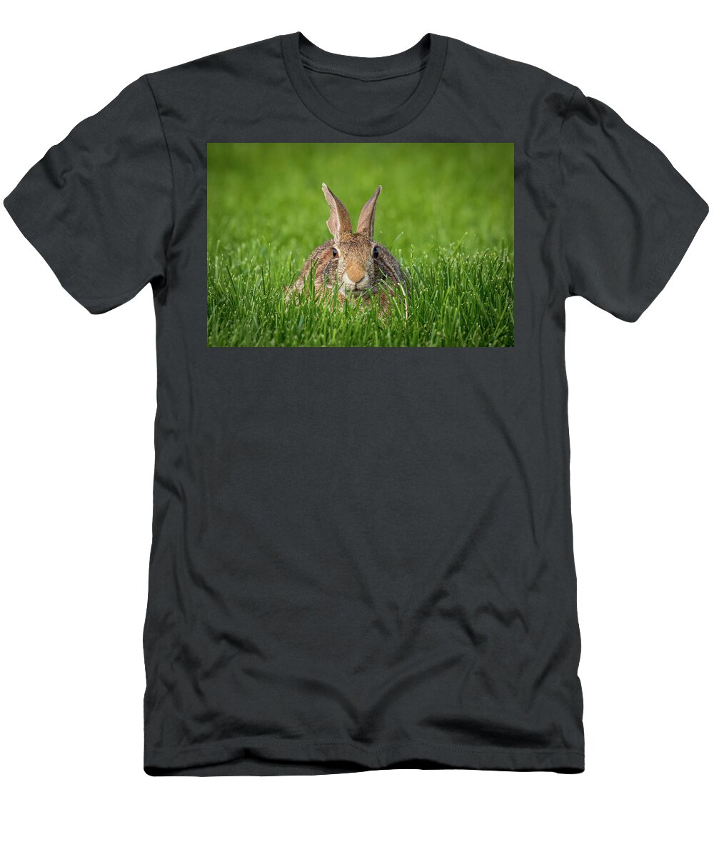 Rabbit T-Shirt featuring the photograph Rabbit Gaze by Allin Sorenson