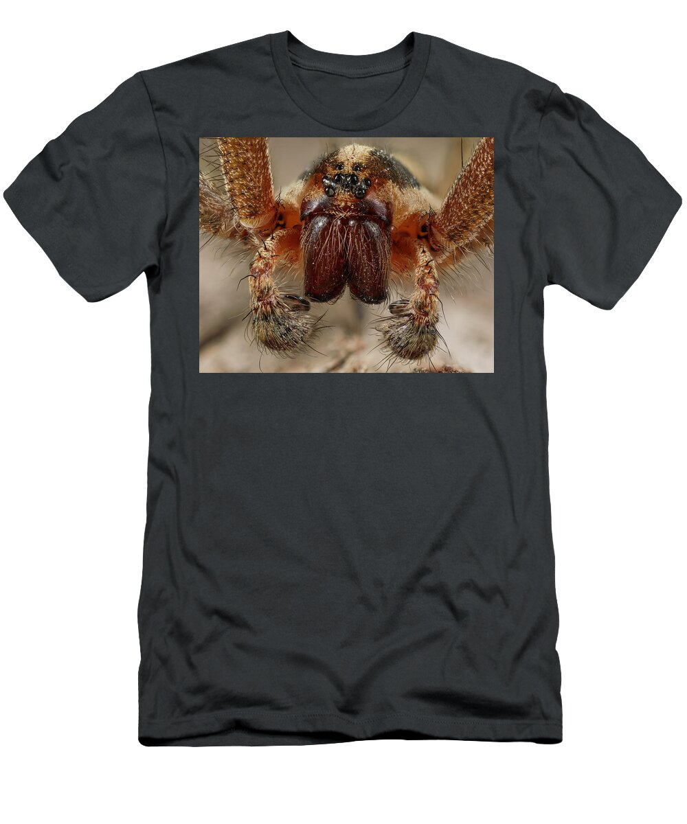 Animal T-Shirt featuring the photograph Rabid Wolf Spider by Jerry Fornarotto