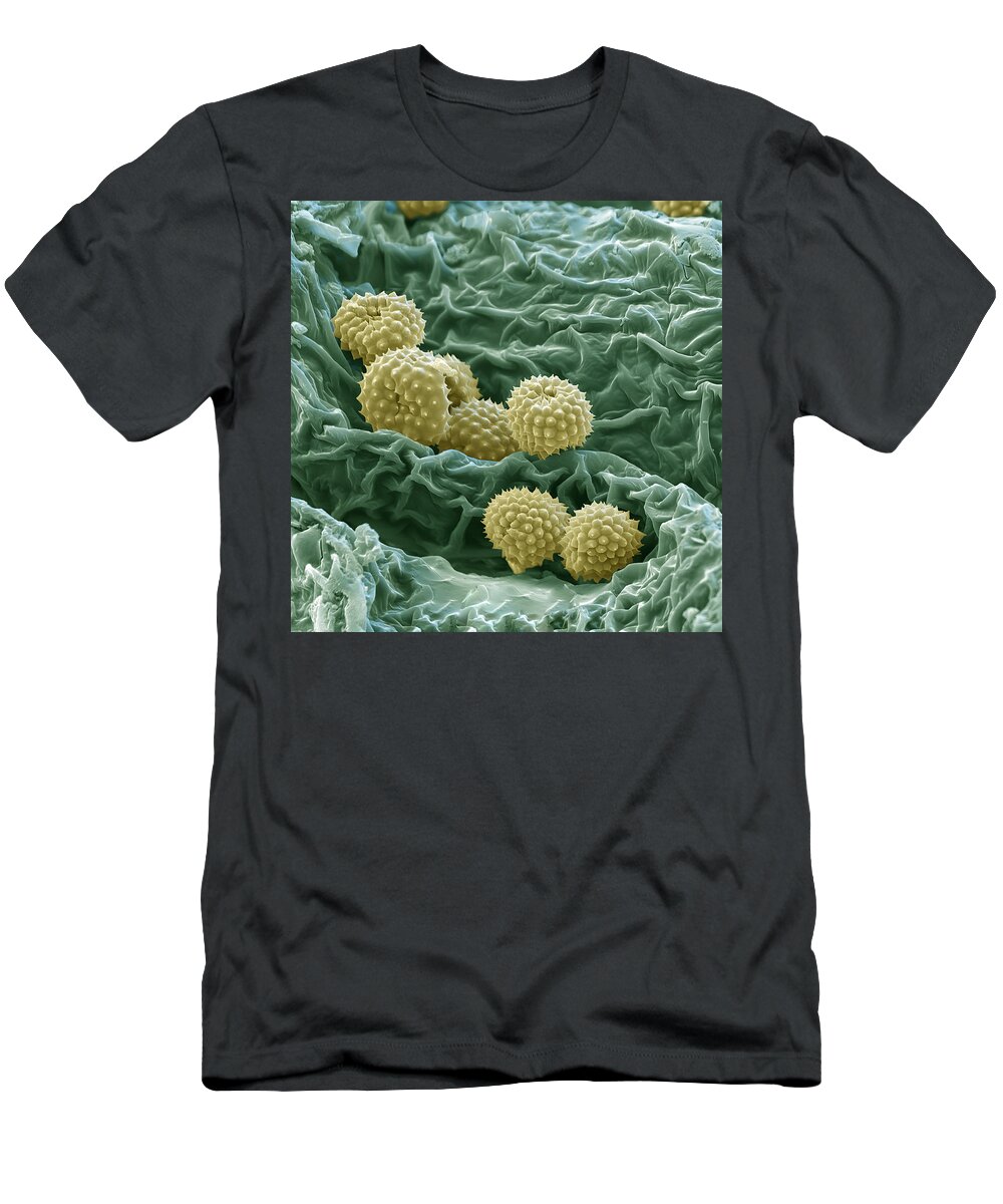 Allergen T-Shirt featuring the photograph Ragweed Pollen by Meckes/ottawa