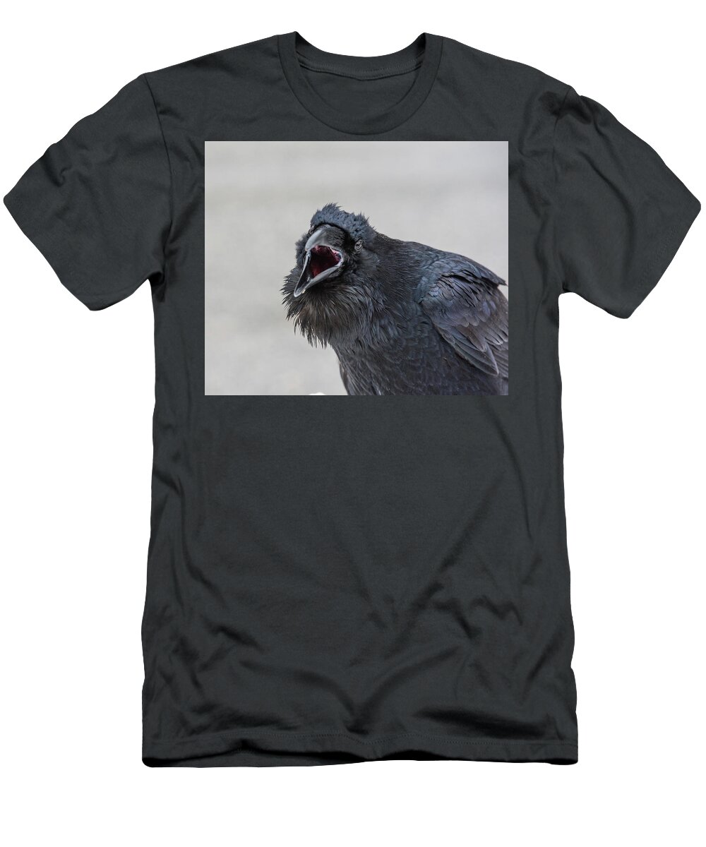 Raven T-Shirt featuring the photograph Raven 5 by David Kirby