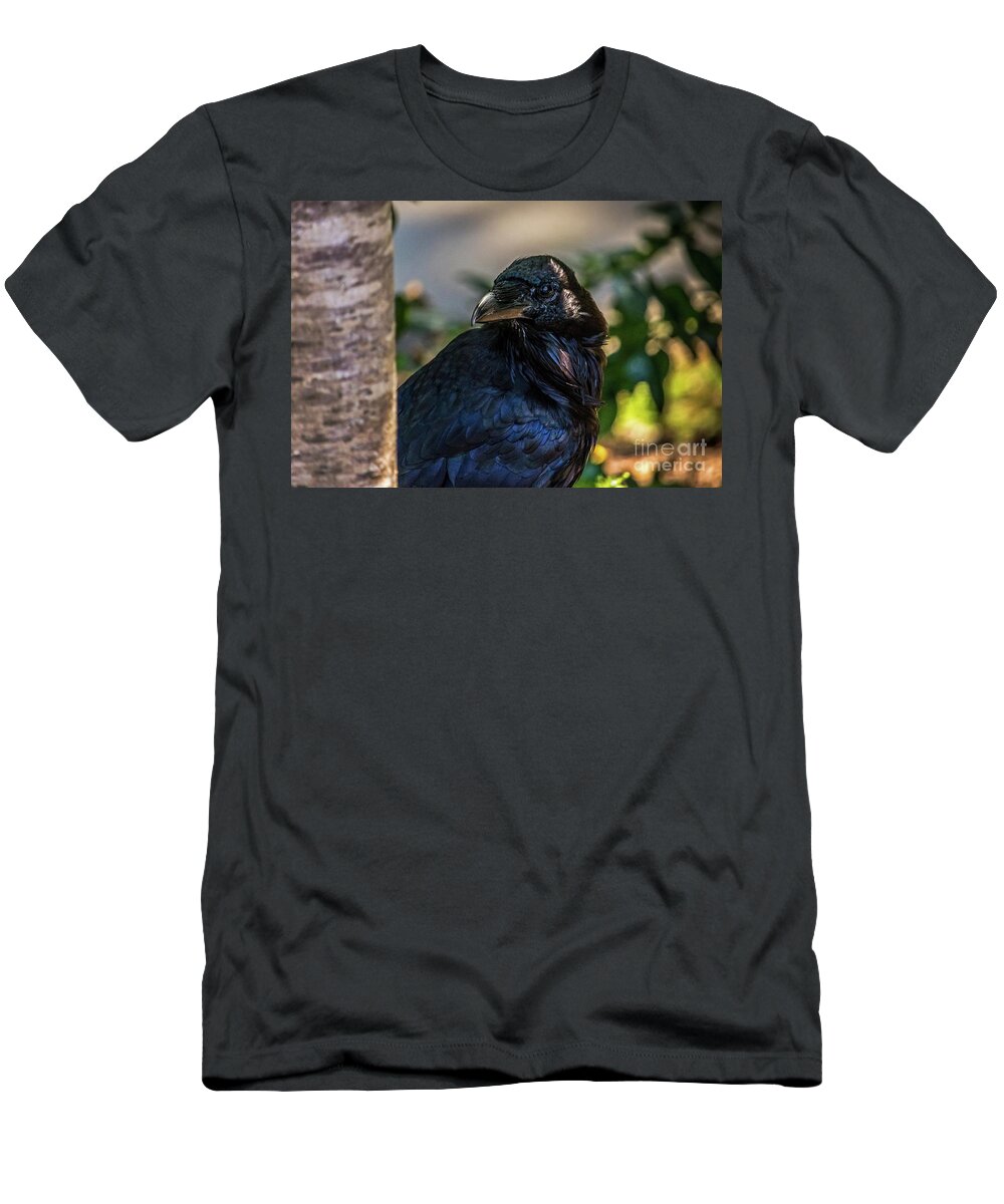 Raven T-Shirt featuring the photograph Raven Watching by Kate Brown