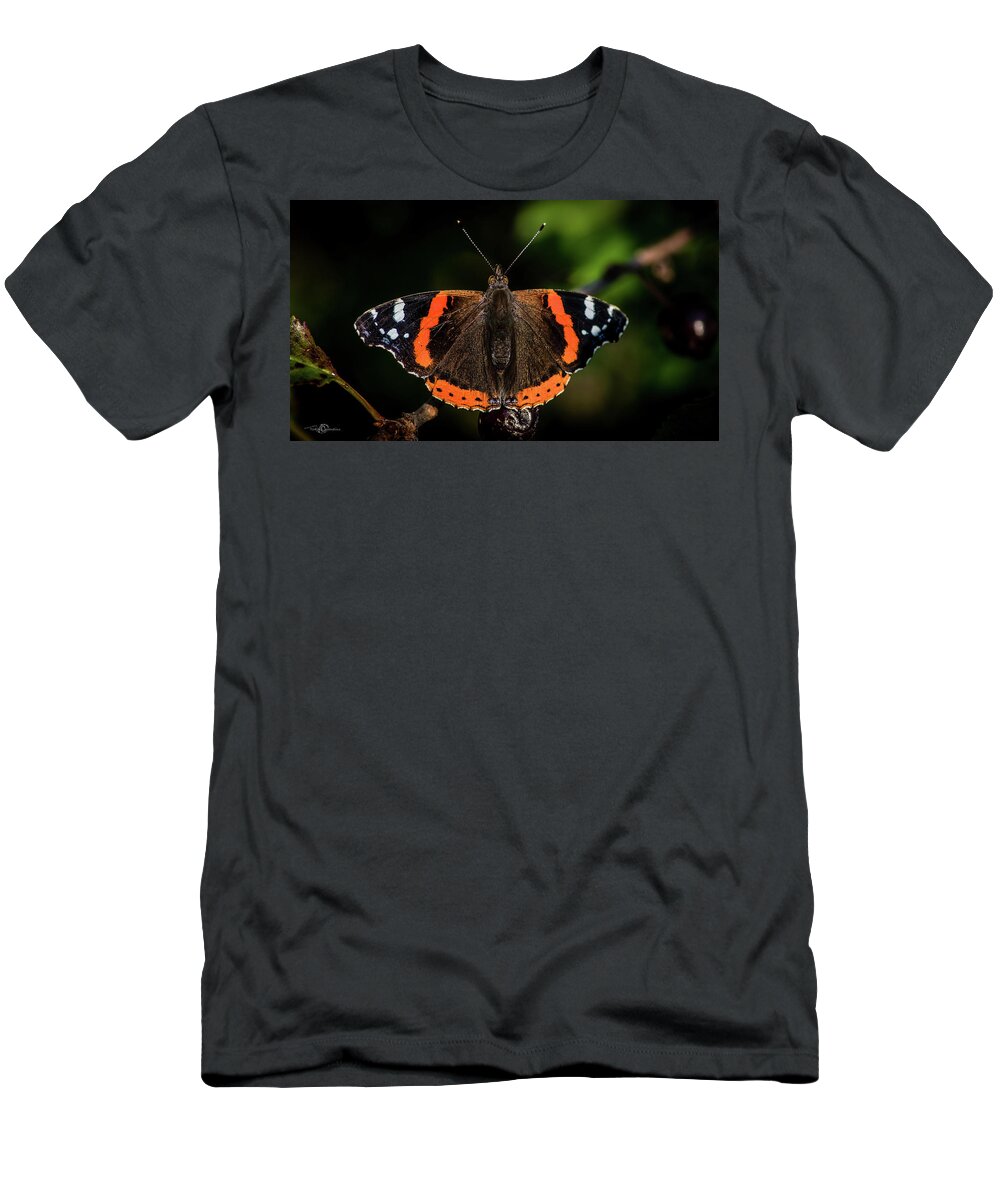 Red Admiral Butterfly T-Shirt featuring the photograph Red Admiral Butterfly in the cherry tree by Torbjorn Swenelius