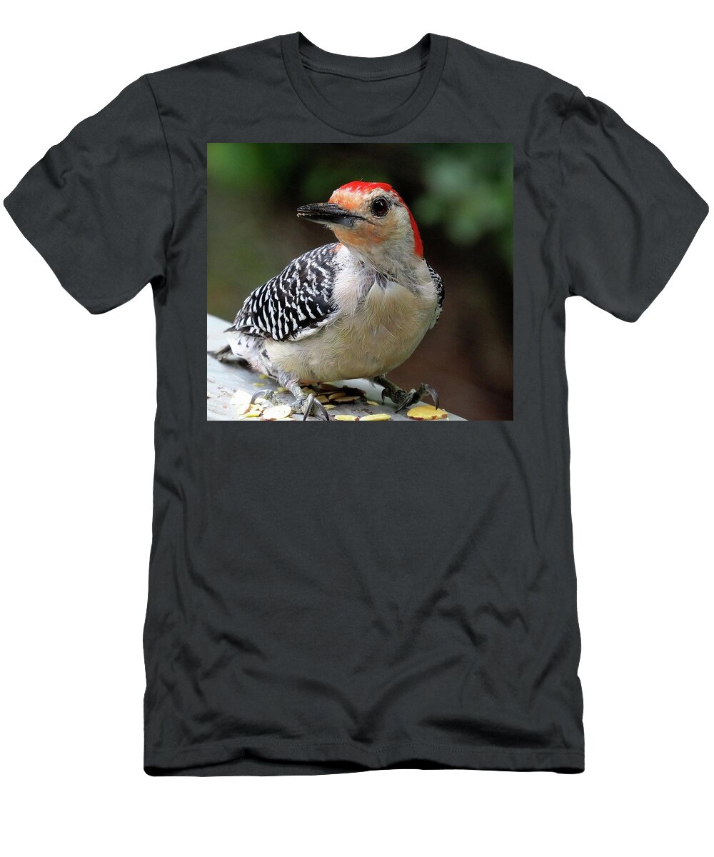 Birds T-Shirt featuring the photograph Red Bellied Woodpecker Having a Snack by Linda Stern