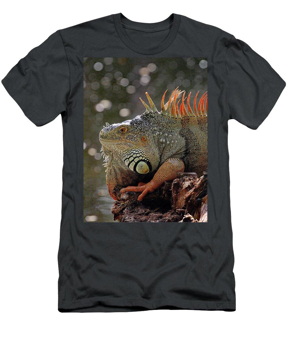 Dec 8 16-1917 T-Shirt featuring the photograph RED DRAGON - cr by Jennifer Robin