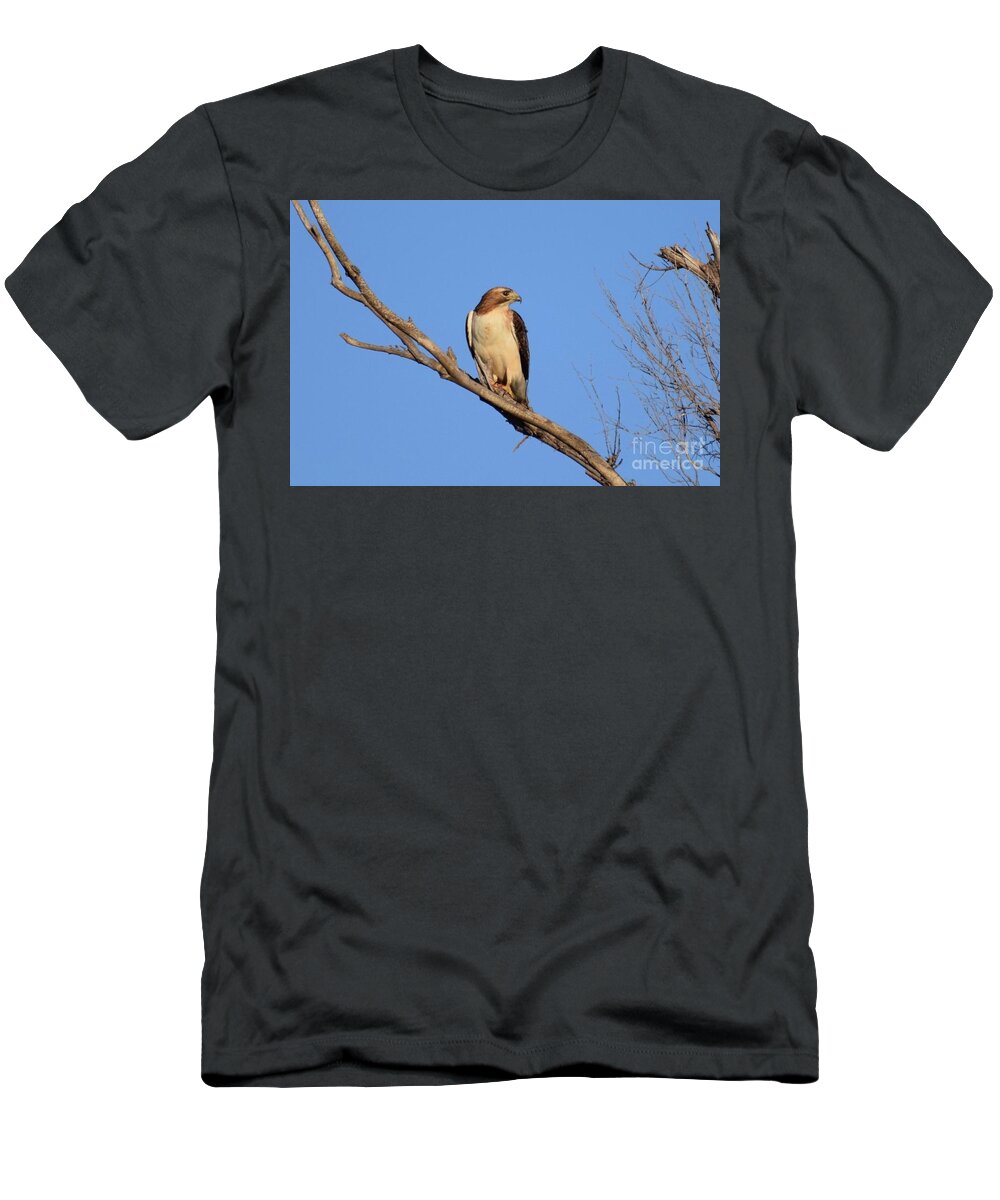 Red Tail T-Shirt featuring the photograph Red Tailed Hawk by Anita Streich