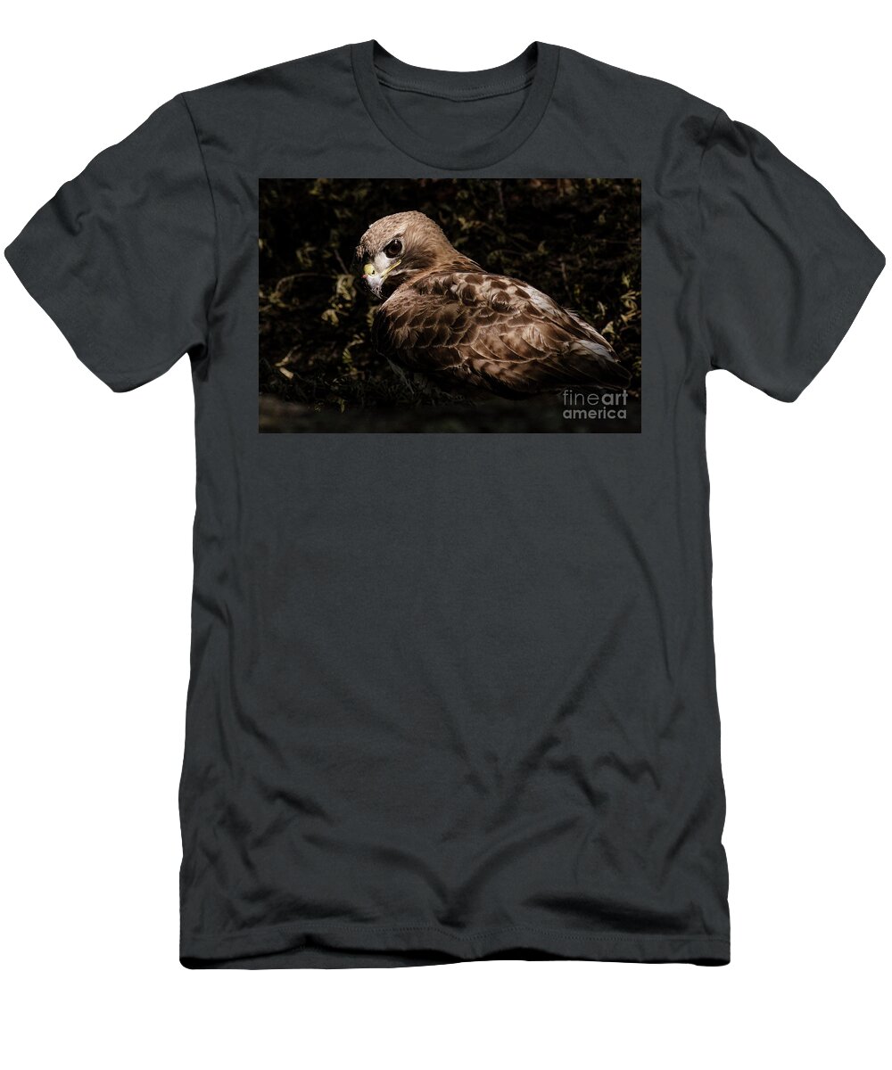 Red-tailed Hawk T-Shirt featuring the photograph Red-tailed Hawk by Rafael De Armas