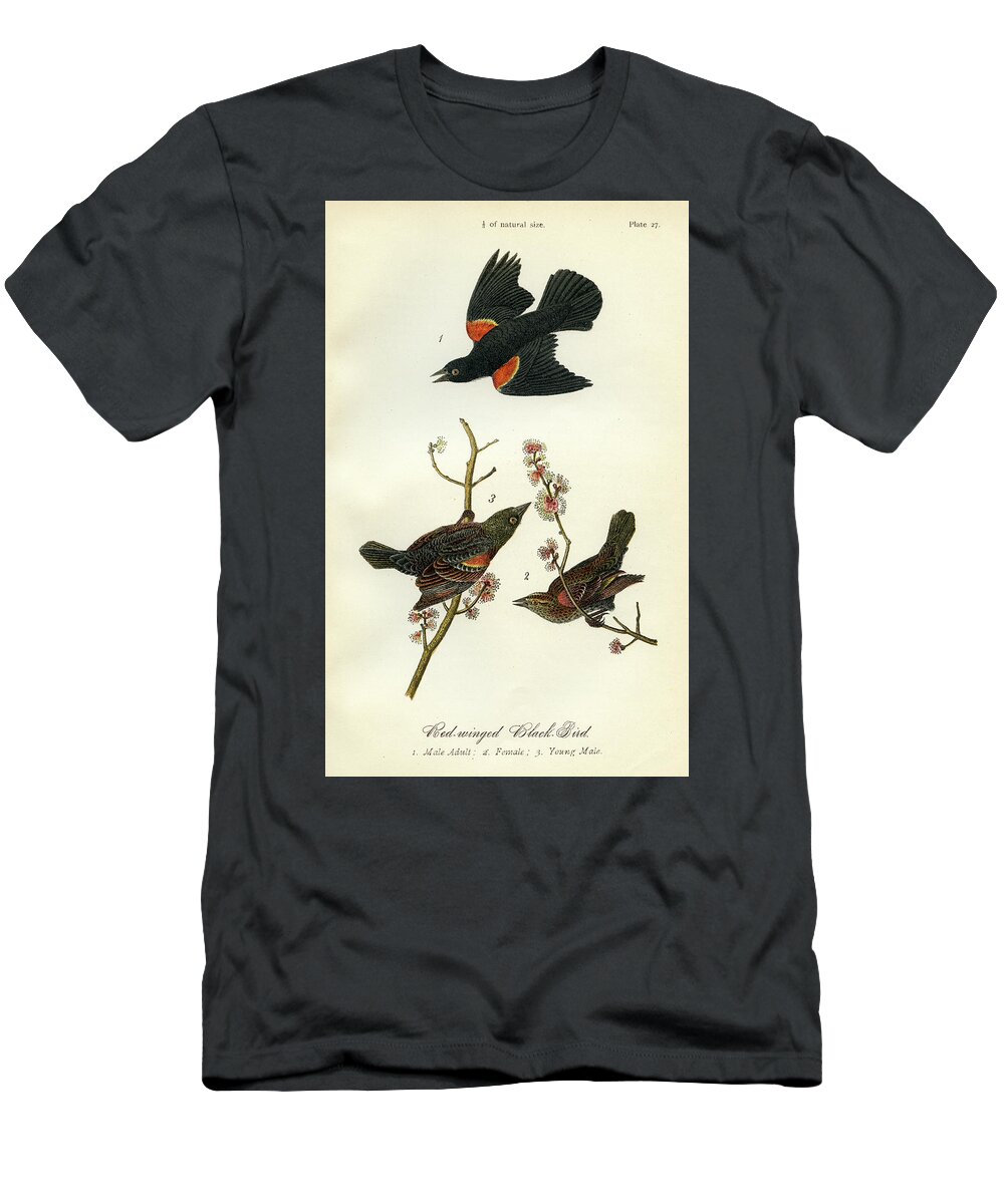 Bird T-Shirt featuring the mixed media Red-Winged Black-Bird by Unknown