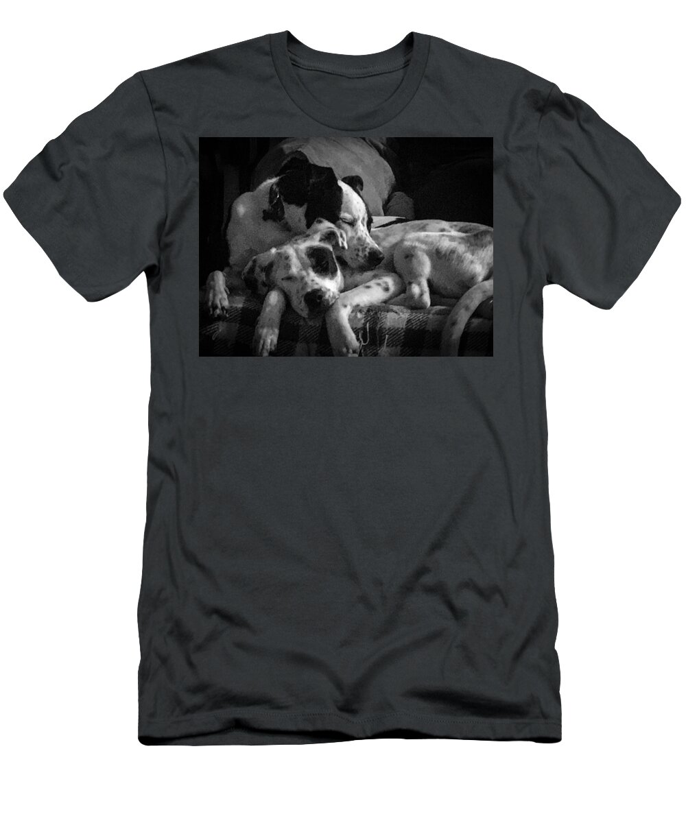 Dogs T-Shirt featuring the photograph Rescued and Best Friends by Veterans Aerial Media LLC