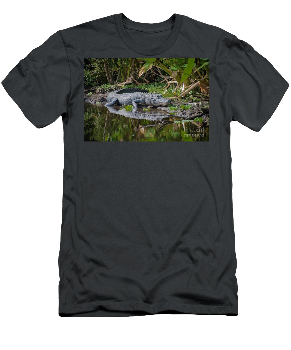 Alligator T-Shirt featuring the photograph Resting Gator by Judy Hall-Folde