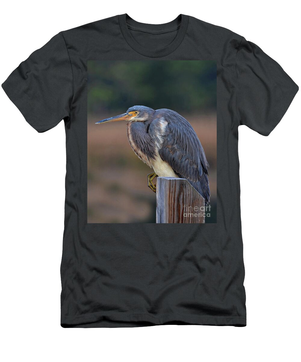 Heron T-Shirt featuring the photograph Resting Great Blue Heron by Kathy Baccari