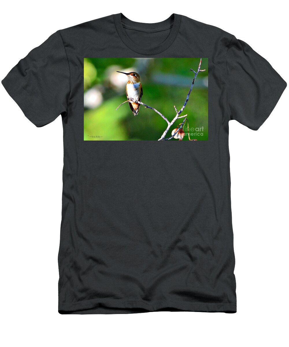 Hummingbird T-Shirt featuring the photograph Resting in the Sun by Dorrene BrownButterfield