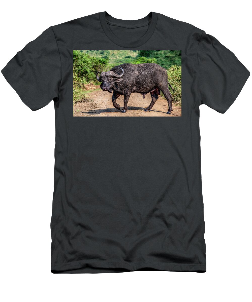 Safari T-Shirt featuring the photograph Road Hazard by Marcy Wielfaert
