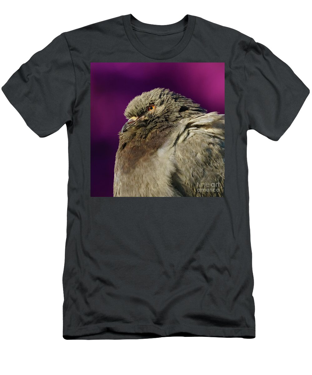 Feather T-Shirt featuring the photograph Rock Pigeon and Iron Fountain Headshot by Pablo Avanzini