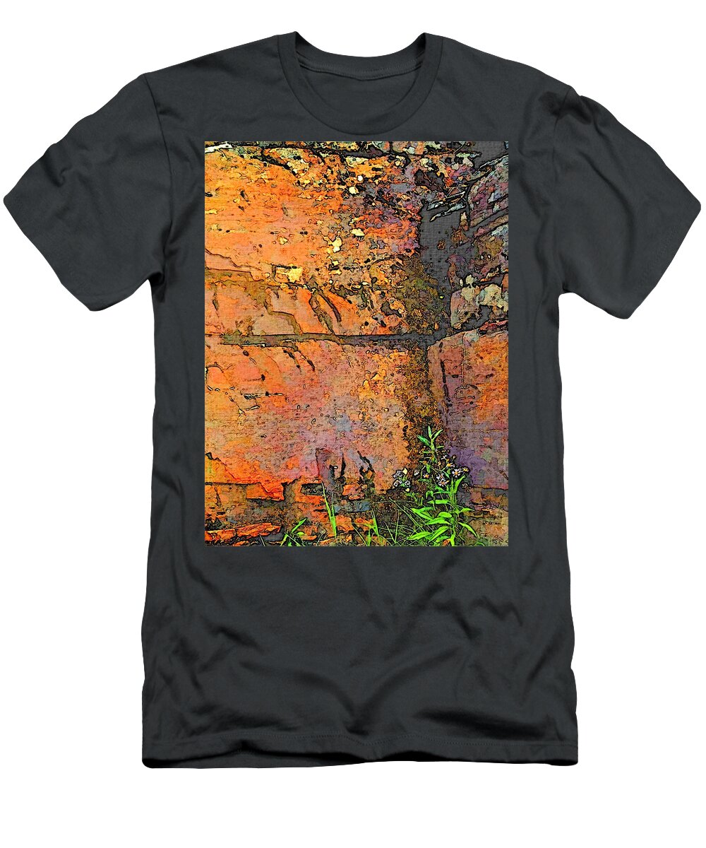 Rock T-Shirt featuring the photograph Rock Wall by Robert Bissett