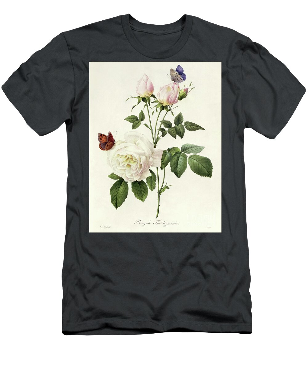 Redoute T-Shirt featuring the painting Rosa Bengale the Hymenes by Redoute by Pierre Joseph Redoute