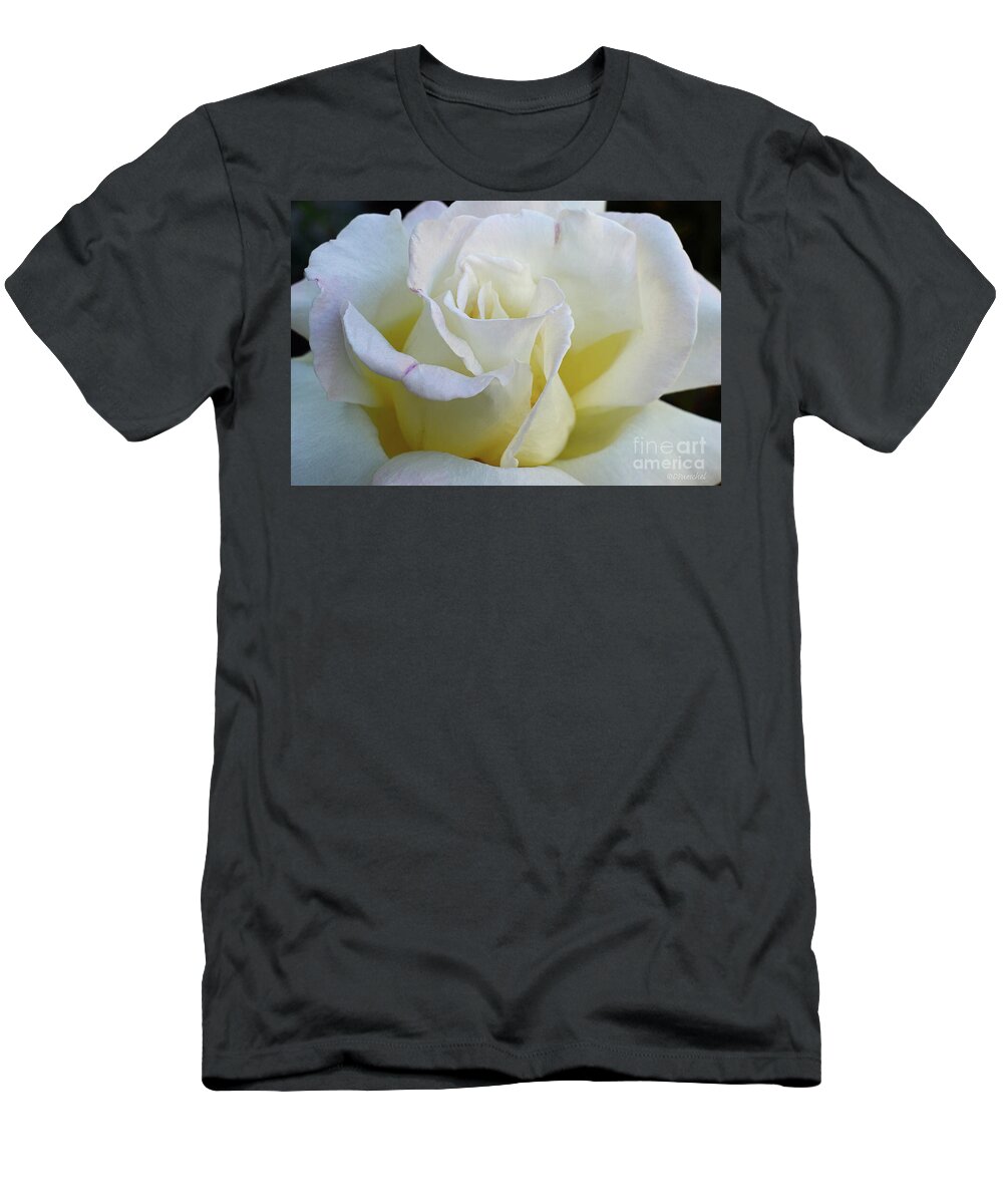 Rose T-Shirt featuring the photograph Rose by Debby Pueschel