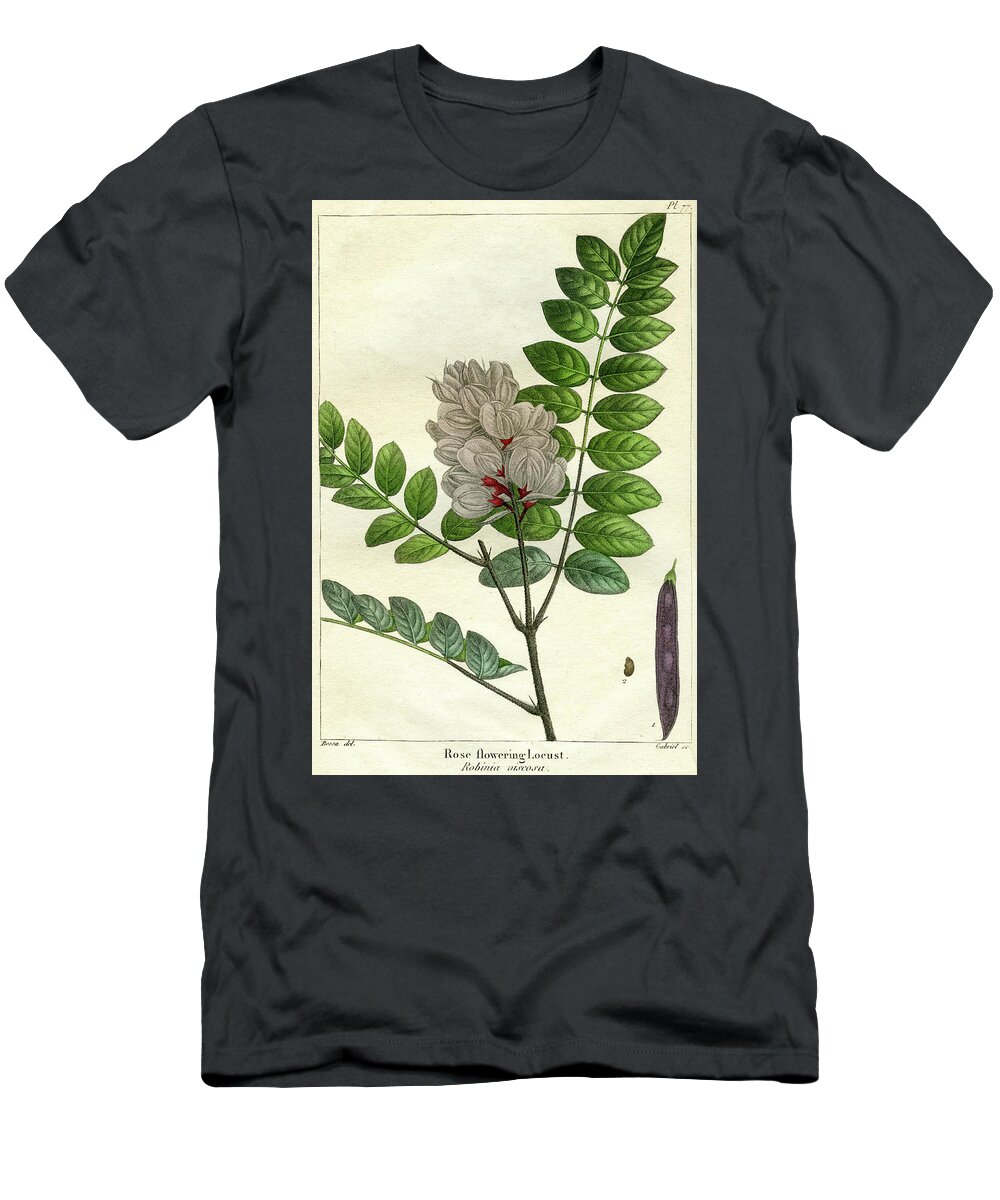 Rose Flowering Locust T-Shirt featuring the mixed media Rose Flowering Locust by Unknown