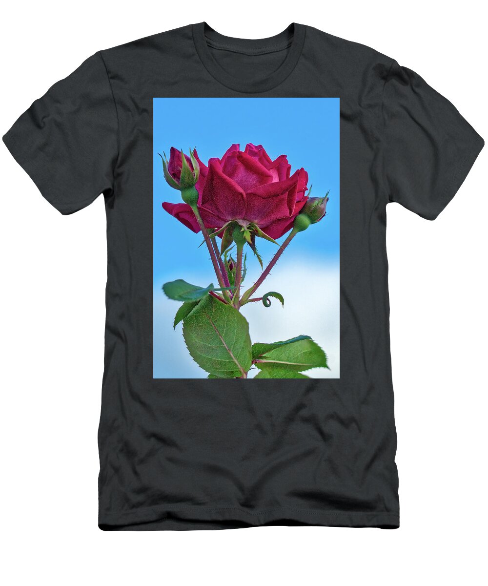 Rose T-Shirt featuring the photograph Rose with Buds by Jerry Gammon