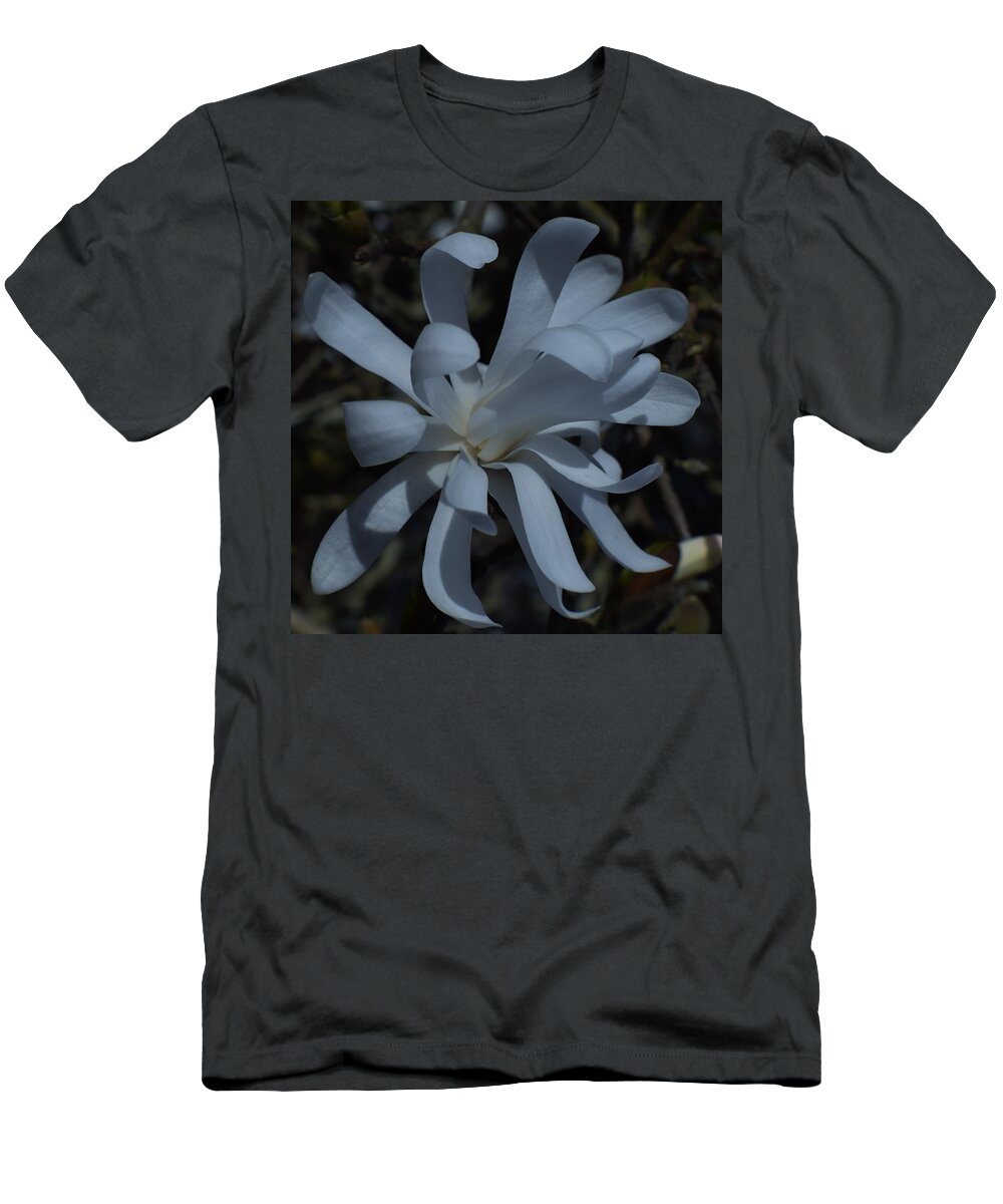 Magnolias T-Shirt featuring the photograph Royal Star Magnolia by Jimmy Chuck Smith