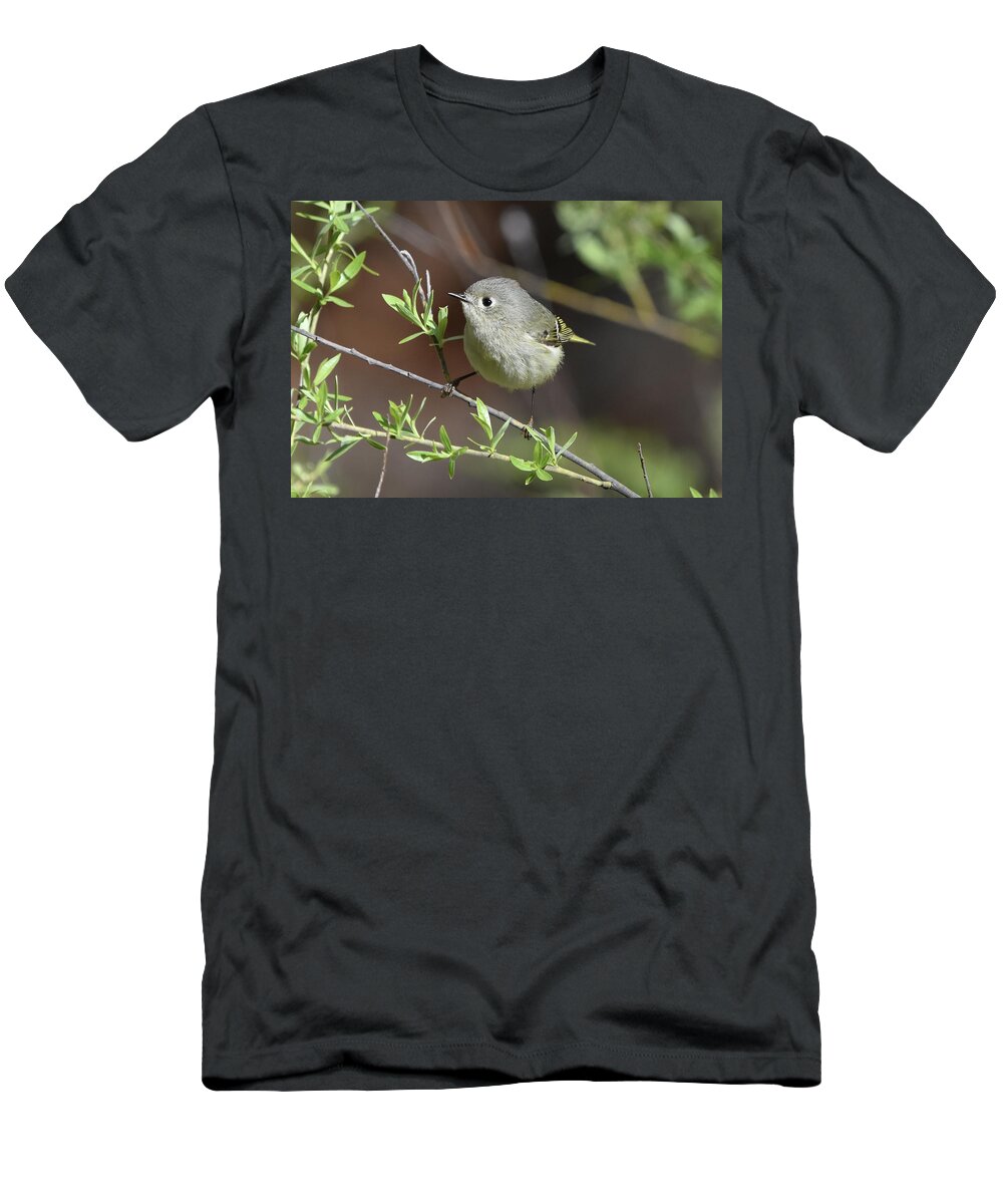 Bird T-Shirt featuring the photograph Ruby-Crowned Kinglet by Ben Foster