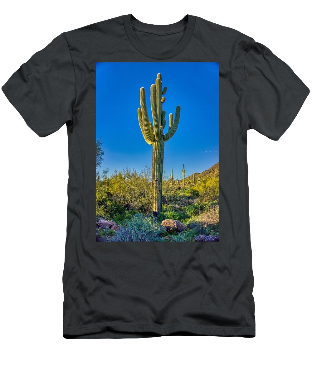 Sunsets T-Shirt featuring the photograph Saguaro Cactus by Anthony Giammarino