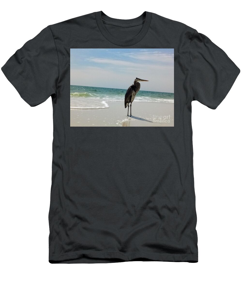 Bird Ocean Sea Sand Florida T-Shirt featuring the photograph Sand, water, Bird by James and Donna Daugherty