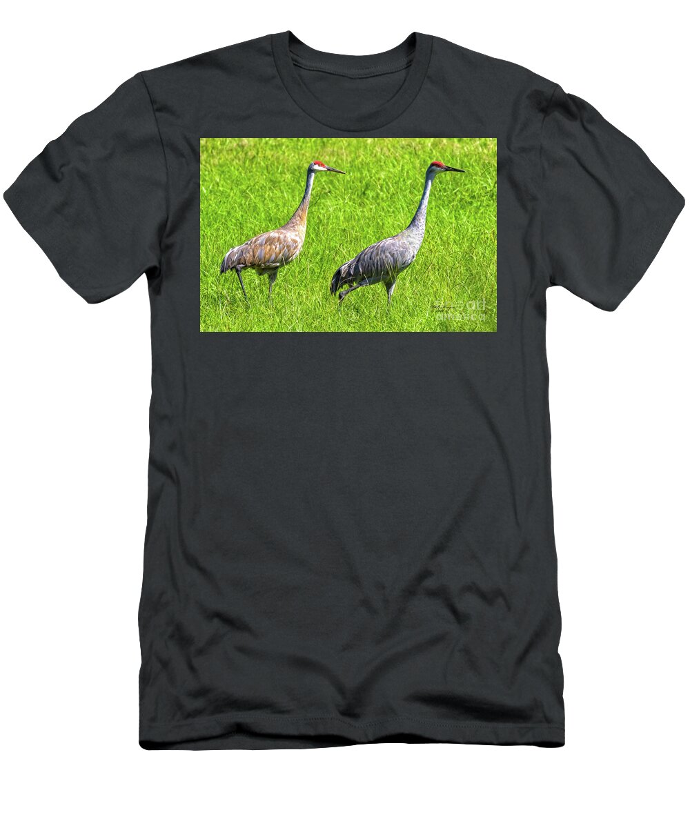 Cranes T-Shirt featuring the photograph Sandhill Crane Mates by DB Hayes