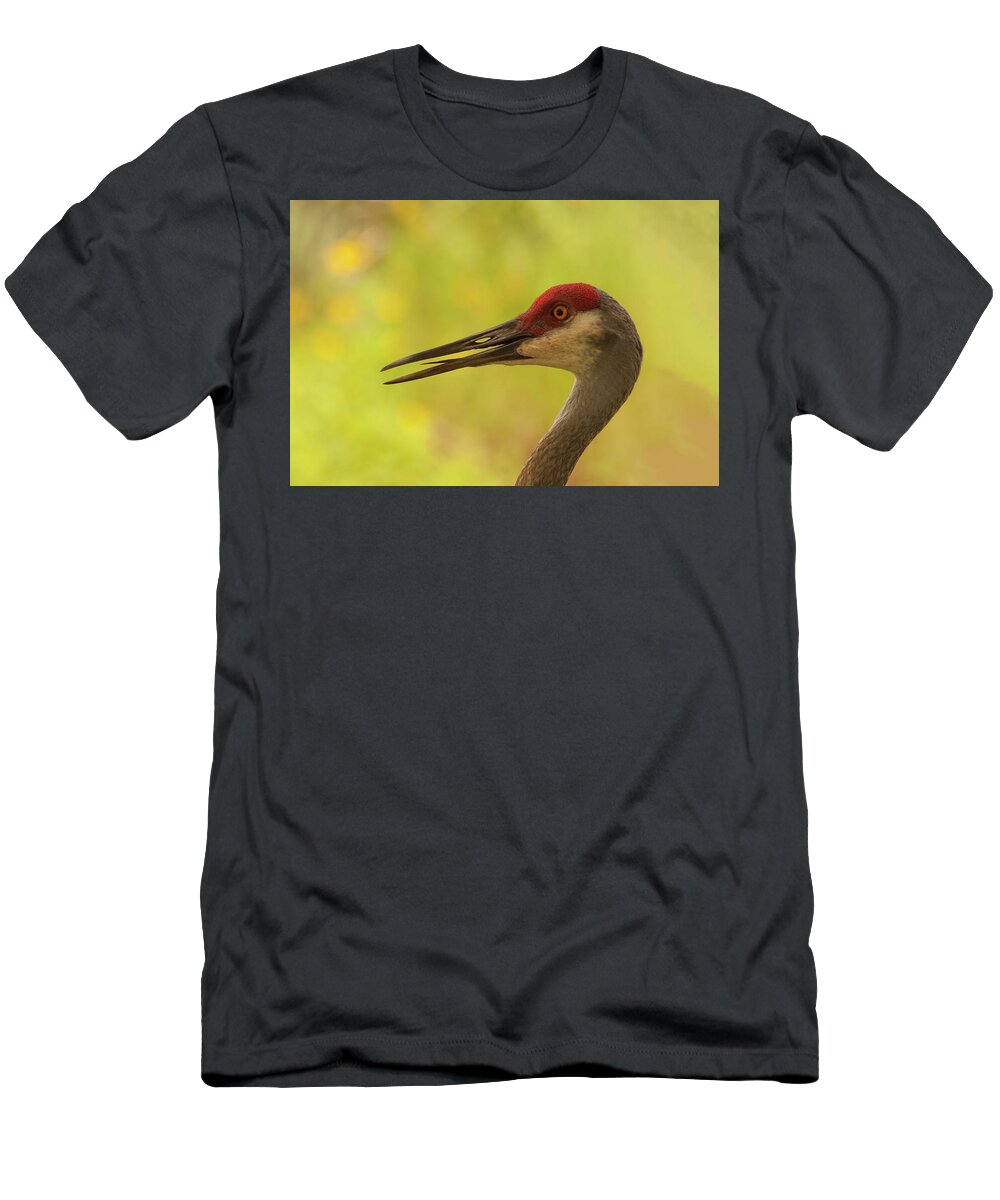 Crane T-Shirt featuring the photograph Sandhill Crane Portrait by Paul Rebmann
