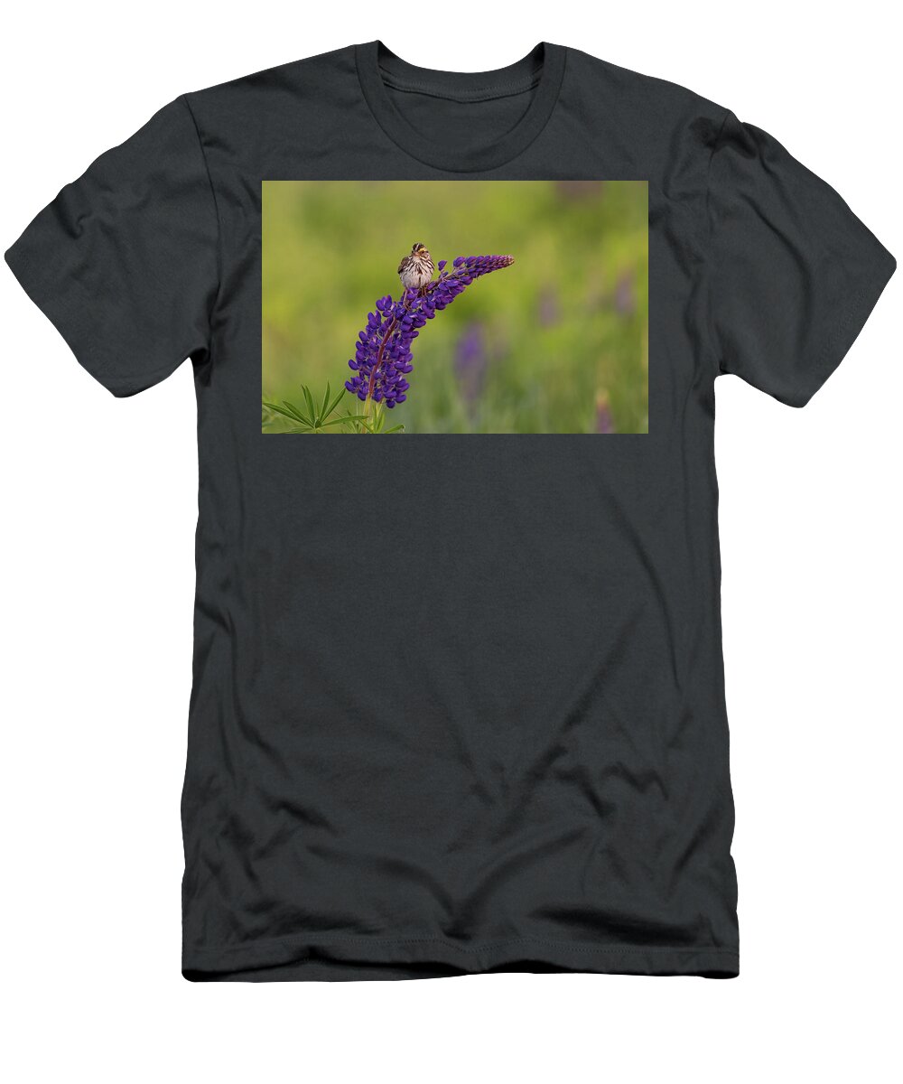 Savannah Sparrow T-Shirt featuring the photograph Savannah Sparrow by Rob Davies