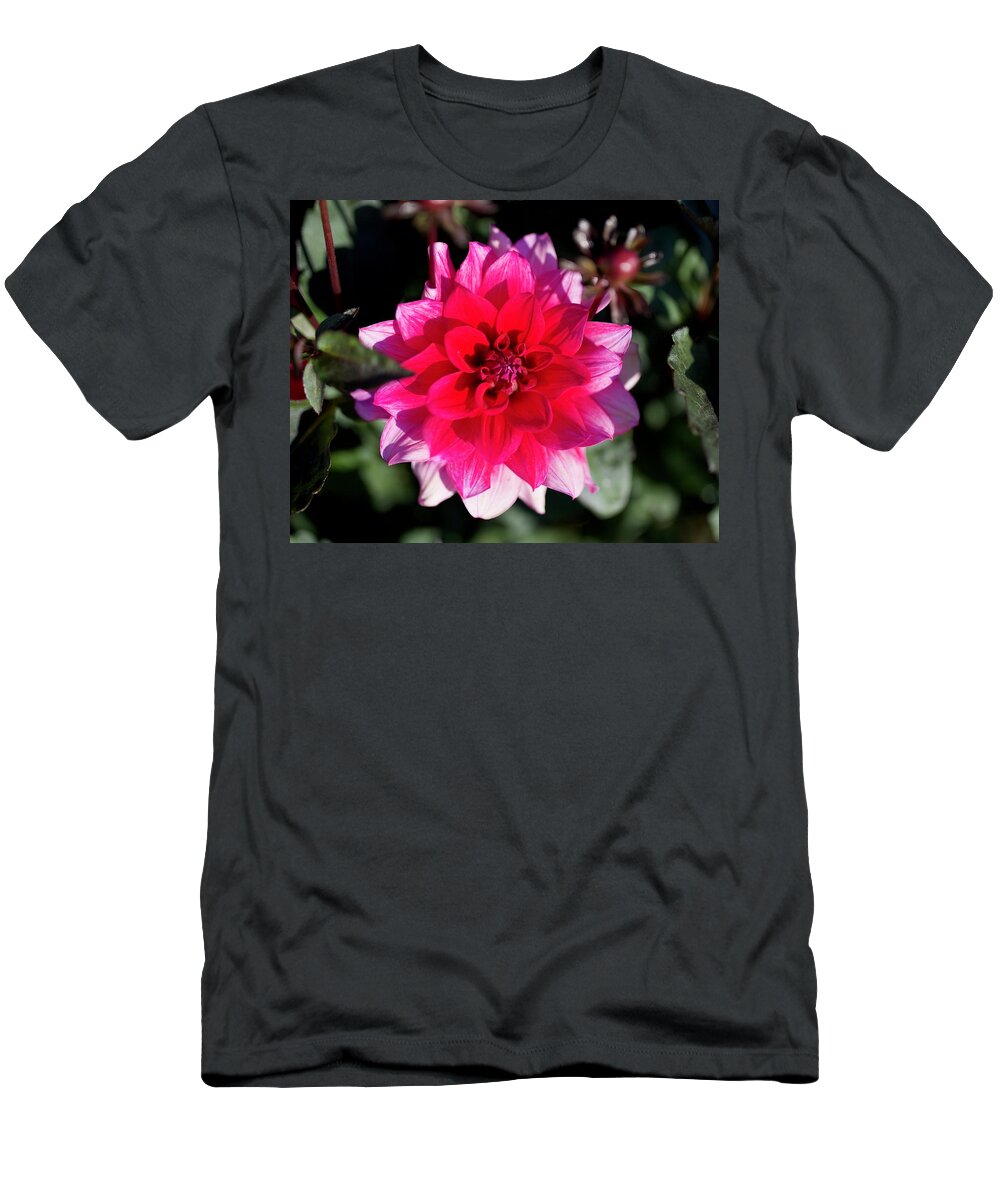 Dahlia T-Shirt featuring the photograph Sayonara by Todd Kreuter