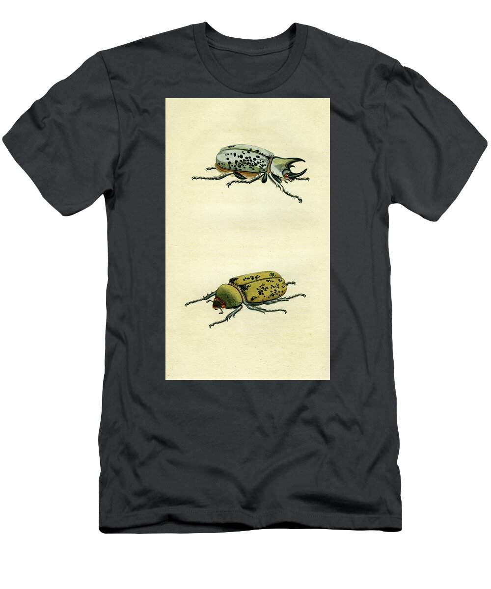 Entomology T-Shirt featuring the mixed media Scarab Beetle by Unknown