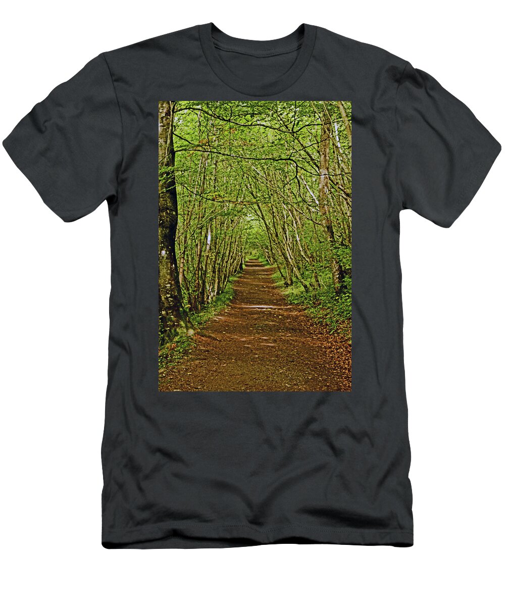Scotland T-Shirt featuring the photograph SCOTLAND. Killiecrankie. Path Through The Trees. by Lachlan Main