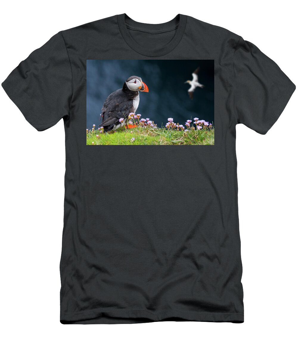 Atlantic Puffin T-Shirt featuring the photograph Scottish Puffin and Gannet by Arterra Picture Library