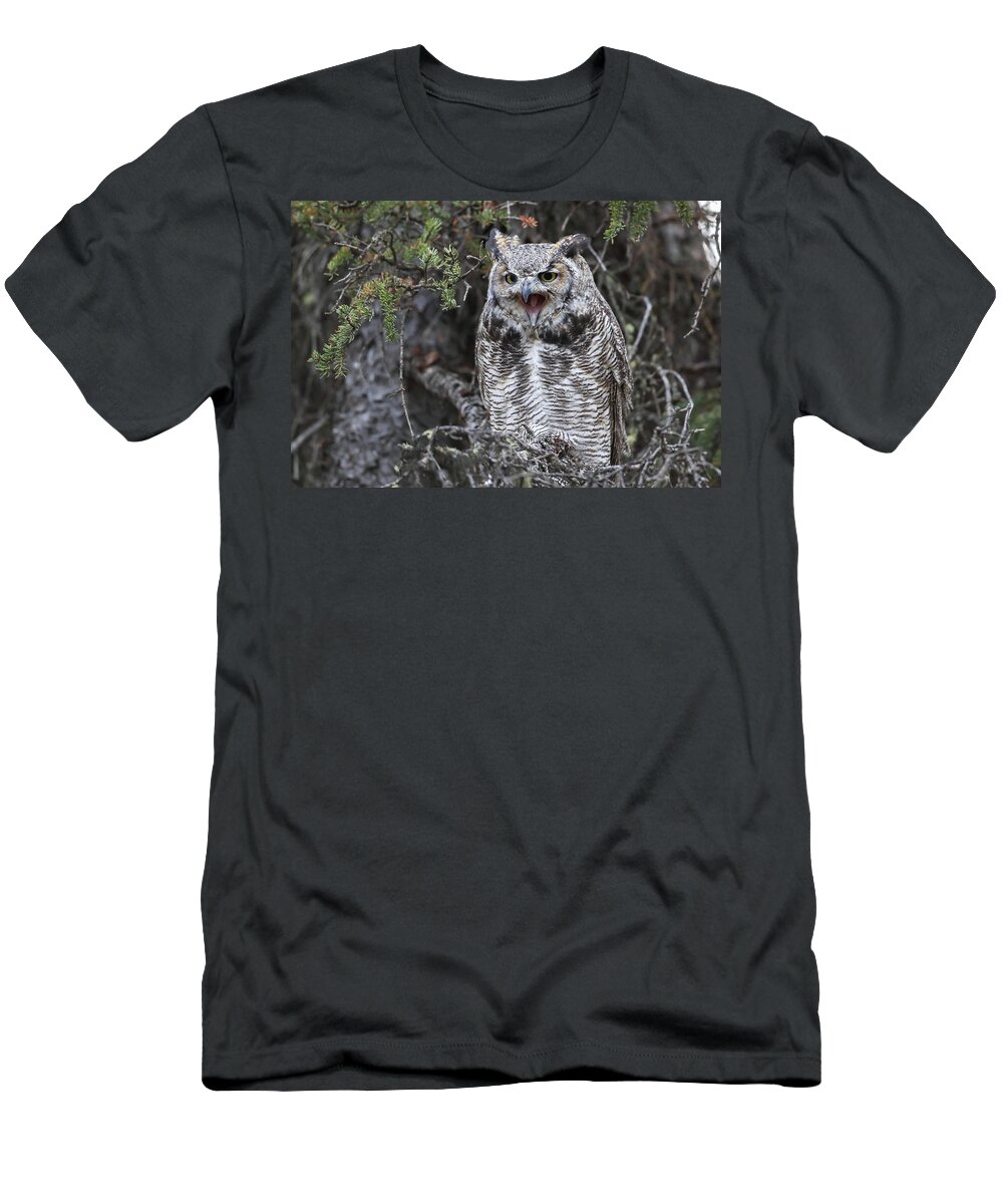 Great Horned Owl T-Shirt featuring the photograph Screeching Great Horned Owl by Sam Amato