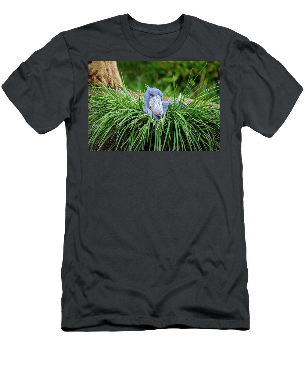 Shoebill T-Shirt featuring the photograph Shoebill Stork Nesting by Anthony Jones