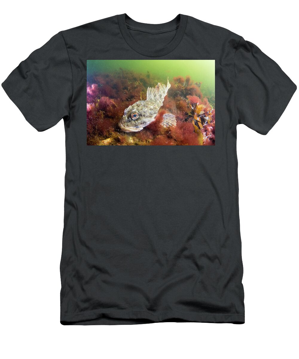 00558384 T-Shirt featuring the photograph Shorthorn Sculpin in Bonne Bay by Scott Leslie