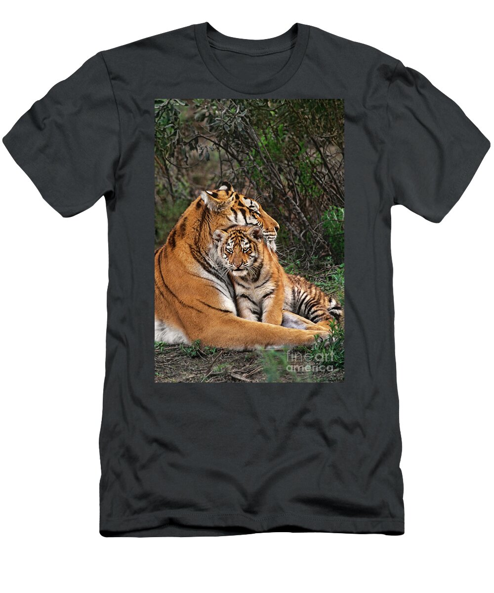 Siberian Tiger T-Shirt featuring the photograph Siberian Tiger Mother and Cub Endangered Species Wildlife Rescue by Dave Welling