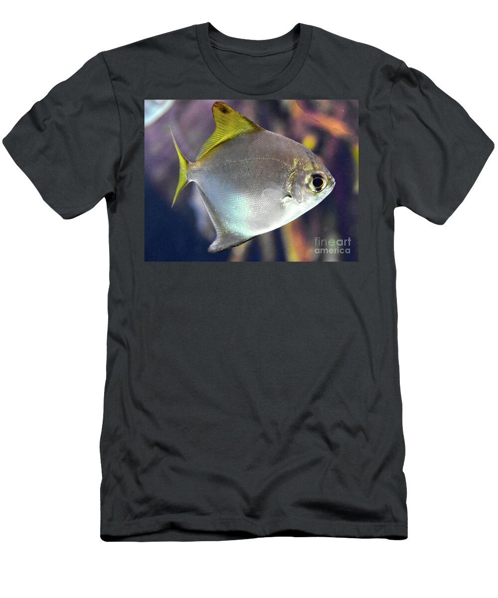 Silver Fish With Yellow Fins Pomacentridea Family T-Shirt featuring the pyrography Silver fish with yellow Fins Pomacentridea family by Christine Dekkers