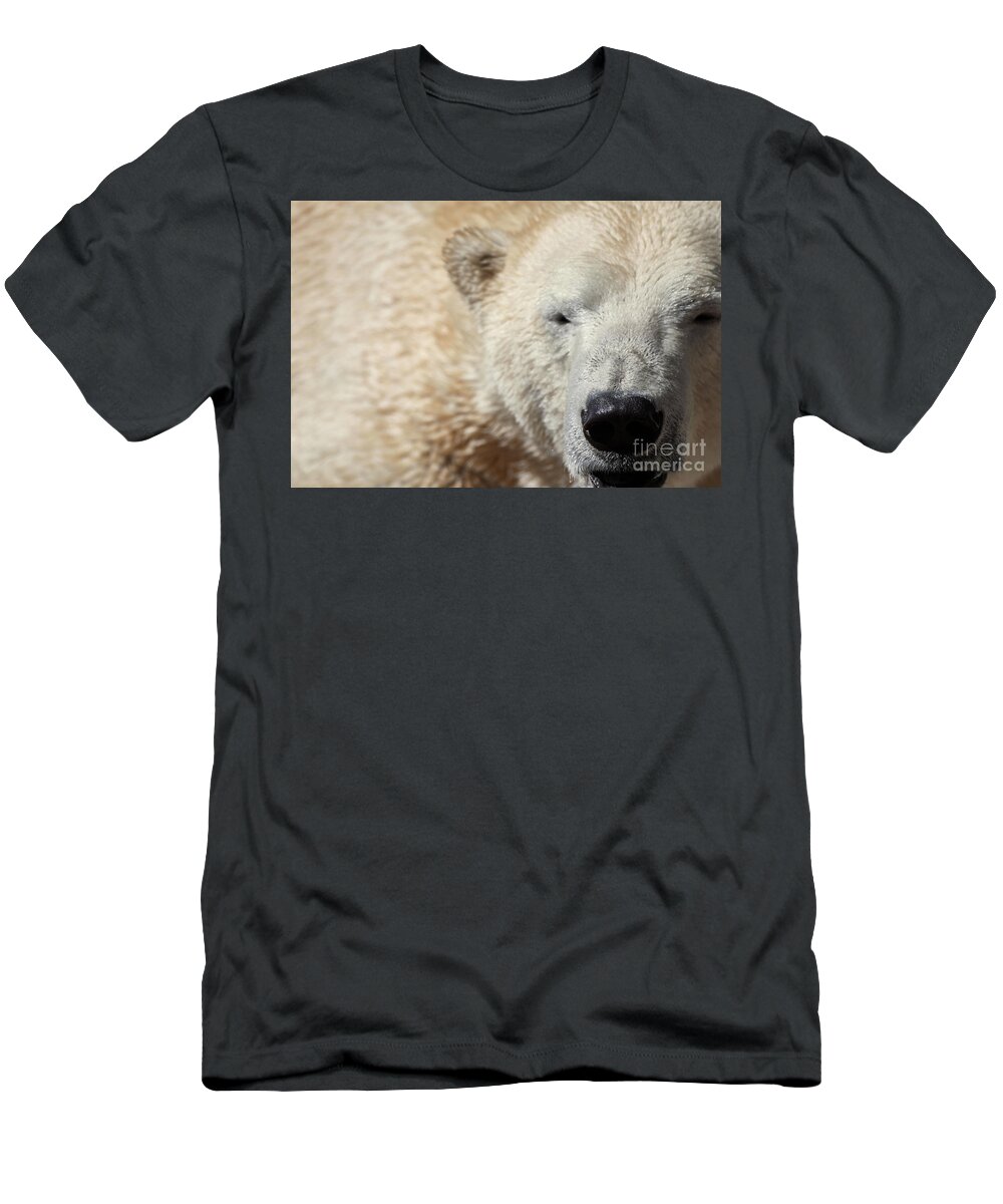 Wildlife T-Shirt featuring the photograph Smile by Robert WK Clark