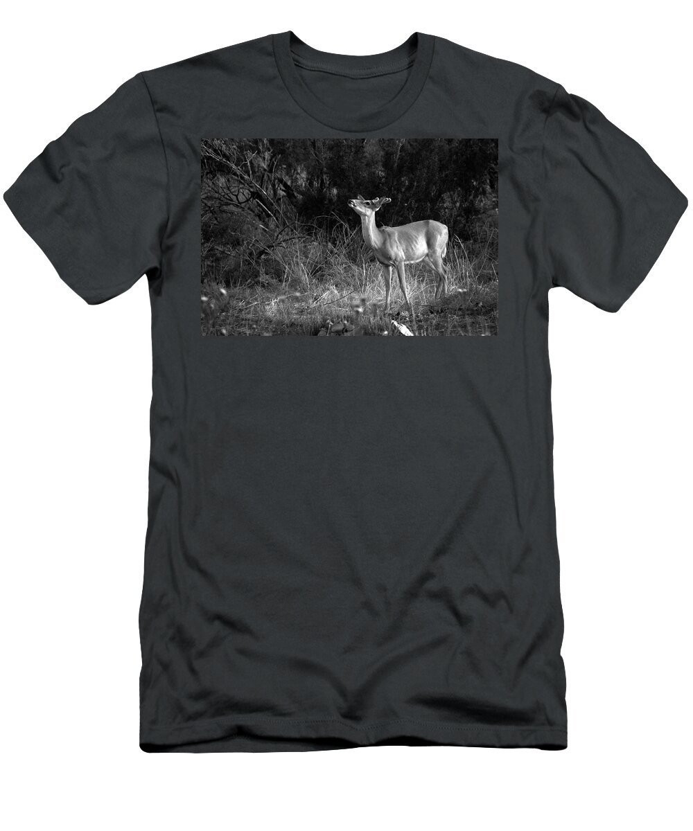 Richard E. Porter T-Shirt featuring the photograph Sniffing the Wind - Deer, Palo Duro Canyon State Park, Texas by Richard Porter